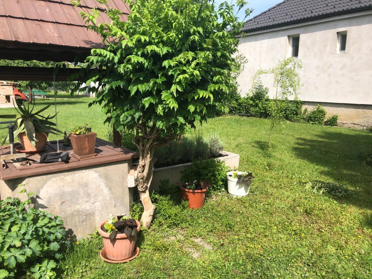 Elvira Vendeghaz Apartment Kisbodak Екстериор снимка