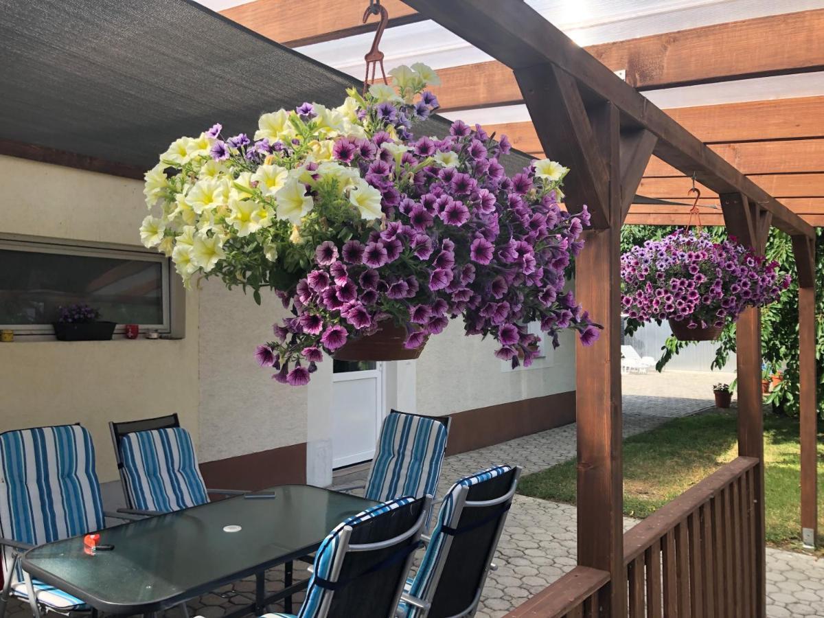 Elvira Vendeghaz Apartment Kisbodak Екстериор снимка