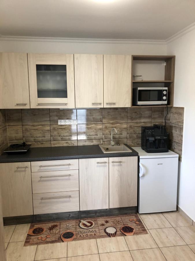 Elvira Vendeghaz Apartment Kisbodak Екстериор снимка